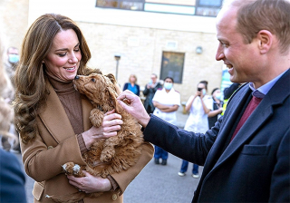 Illustration de l'article : Le prince William et sa femme Kate tombent sous le charme d'un chien de thérapie pendant une visite royale