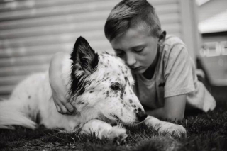 Illustration de l'article : Une photographe offre des séances photo émouvantes aux propriétaires et leurs animaux de compagnie en fin de vie