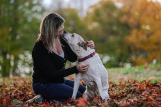 Illustration de l'article : Une photographe offre des séances photo émouvantes aux propriétaires et leurs animaux de compagnie en fin de vie