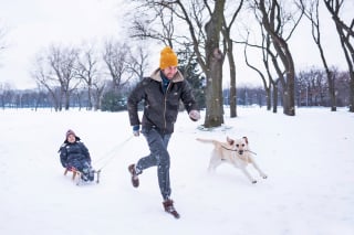 Illustration de l'article : 8 activités amusantes à faire avec son chien en hiver