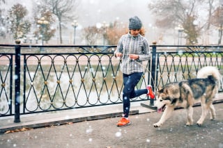 Illustration de l'article : 8 activités amusantes à faire avec son chien en hiver