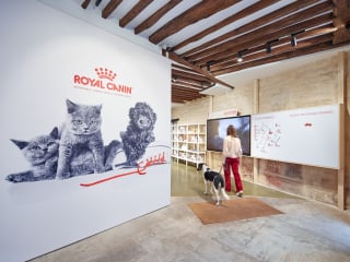 Illustration de l'article : Royal Canin : un concept store pour vous aider à comprendre et à décrypter les comportements de votre animal