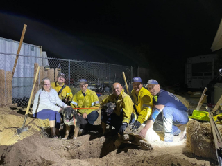 Illustration de l'article : Les pompiers portent secours à 2 chiots coincés par une tortue dans sa tanière