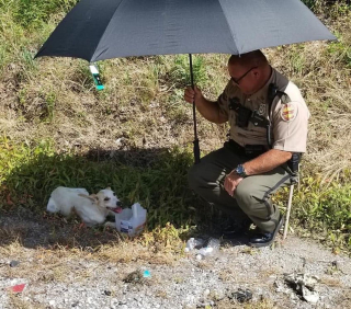 Illustration de l'article : La merveilleuse décision prise par le policier ayant protégé un chien errant du soleil avec un parapluie