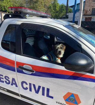 Illustration de l'article : Un petit garçon dévasté après avoir perdu son chien voit arriver la voiture de police et fond en larmes