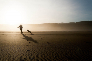 Illustration de l'article : 9 conseils fondamentaux pour emmener votre chien à la plage et en toute sécurité