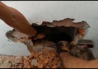 Illustration de l'article : Un chat coincé entre la brique et le placoplatre d’un mur de maison sauvé par les pompiers