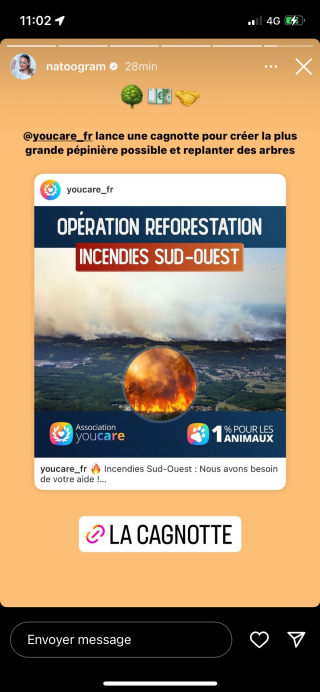 Illustration de l'article : Incendies dans le Sud-Ouest : YouCare et le Label 1 % Pour Les Animaux lancent un projet solidaire de reforestation