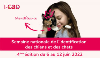 Illustration de l'article : Organisée par I-CAD, la 4e édition de la Semaine Nationale d'Identification des chiens et chats aura lieu du 6 au 12 juin