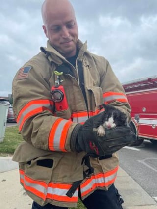 Illustration de l'article : Les pompiers tentent de sauver un chaton piégé dans un conduit en utilisant une caméra radiocommandée