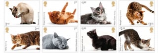 Illustration de l'article : La poste britannique lance une nouvelle série de timbres avec des chats en vedette