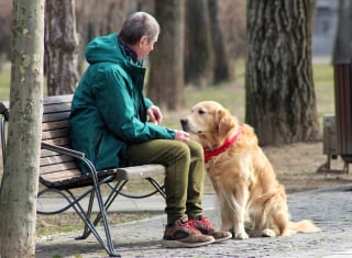 Illustration de l'article : Sixième rendez-vous de l'animal en ville : les idées pour favoriser l'intégration de nos compagnons à 4 pattes