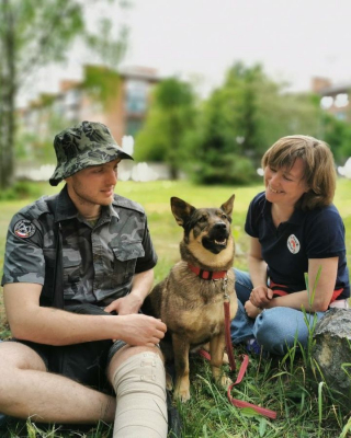 Illustration de l'article : Une ancienne chienne errante s’est reconvertie et apporte aujourd’hui son soutien émotionnel aux soldats ukrainiens