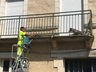 Illustration de l'article : Ils aperçoivent un chien bloqué sur son balcon en pleine chaleur, les agents municipaux lui viennent en aide