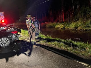 Illustration de l'article : Les 20 minutes les plus longues de la vie d'un chien, bloqué dans une voiture tombée dans un canal