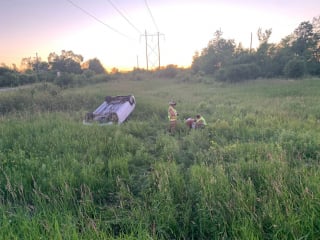 Illustration de l'article : Les pompiers s'attendaient au pire en secourant un chien victime d'un tonneau en voiture