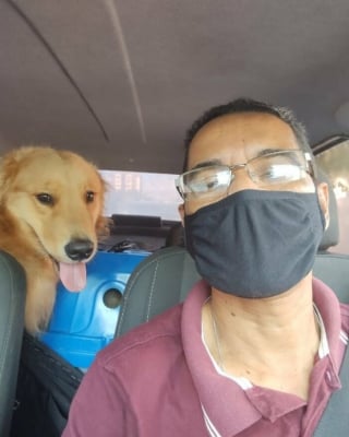 Illustration de l'article : 20 photos géniales prises par un chauffeur de taxi pour animaux de compagnie avec ses "clients"