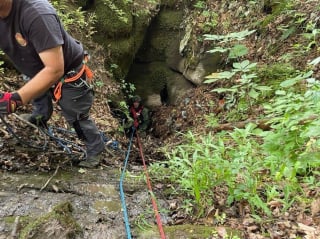 Illustration de l'article : Plusieurs équipes de sauvetage mobilisées pour sauver un chien sénior tombé dans un gouffre