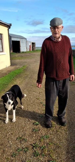 Illustration de l'article : À 26 ans, ce Border Collie est considéré comme « le plus vieux chien d'Irlande »