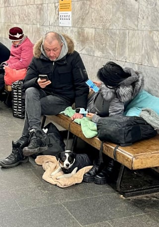 Illustration de l'article : 20 photos de citoyens ukrainiens se mettant à l'abri avec leurs précieux animaux de compagnie