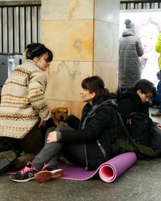 Illustration de l'article : 20 photos de citoyens ukrainiens se mettant à l'abri avec leurs précieux animaux de compagnie