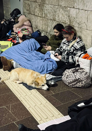 Illustration de l'article : 20 photos de citoyens ukrainiens se mettant à l'abri avec leurs précieux animaux de compagnie