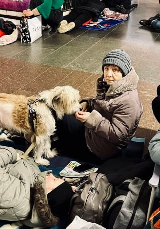 Illustration de l'article : 20 photos de citoyens ukrainiens se mettant à l'abri avec leurs précieux animaux de compagnie