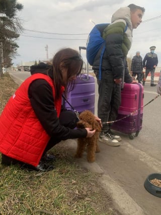 Illustration de l'article : 20 photos de citoyens ukrainiens se mettant à l'abri avec leurs précieux animaux de compagnie