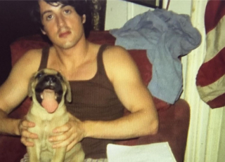 Illustration de l'article : Sylvester Stallone partage l'histoire et la photo d'un chiot ukrainien nommé "Rambo" recueilli par les soldats !