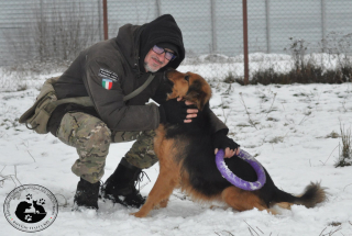 Illustration de l'article : Ukraine : une myriade d'associations se mobilisent pour venir en aide aux refuges pour animaux