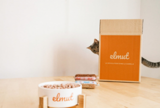 Illustration de l'article : Elmut, les repas frais, personnalisés et livrés à domicile, c’est désormais aussi pour les chats !