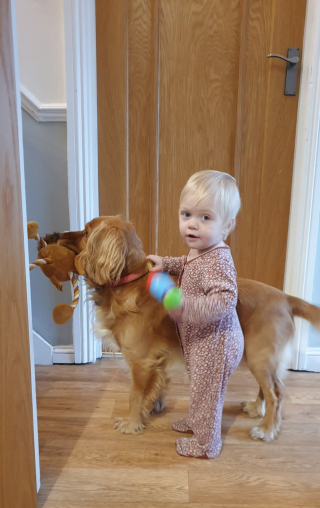 Illustration de l'article : Un chien lié à l'enfant de ses propriétaires l'aide à franchir des étapes importantes, comme l'apprentissage de la marche