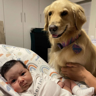 Illustration de l'article : « Elle la considère comme sa sœur » : une chienne place sa balle préférée à côté d'un bébé dans l'espoir de jouer (vidéo)