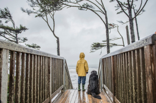 Illustration de l'article : 9 choses que l'odorat de votre chien est capable de déceler contrairement au vôtre