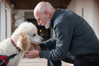 Illustration de l'article : 9 choses que l'odorat de votre chien est capable de déceler contrairement au vôtre