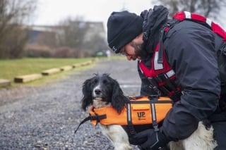 Illustration de l'article : Une chienne vivant à l'arrière d'une camionnette entame un nouveau chapitre de sa vie en rejoignant les rangs de la police