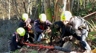 Illustration de l'article : Piégé dans un ravin, un sexagénaire insiste auprès des sauveteurs pour que son chien soit mis en sécurité le premier