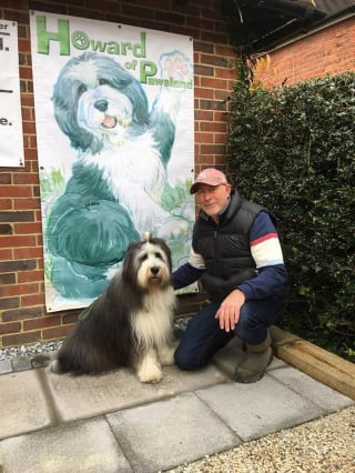 Illustration de l'article : Un homme pris dans les affres du désespoir va de l'avant avec le soutien d'un Bearded Collie