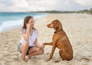 Illustration de l'article : 7 photos magnifiques d'enfants et de leurs animaux de compagnie adorés 