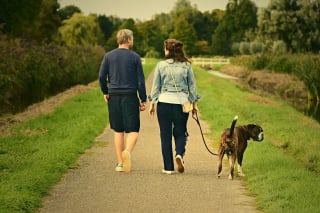 Illustration de l'article : 5 bonnes raisons pour lesquelles le dressage renforce le lien avec votre chien