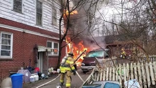 Illustration de l'article : Des pompiers luttent contre un incendie et découvre avec stupeur plus de 100 chats détenus à l'intérieur de la maison