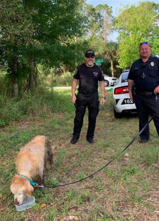 Illustration de l'article : Coincé dans la boue et épuisé, ce chien rejoint sa famille grâce à une équipe de policiers (vidéo)