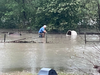 Illustration de l'article : L'altruisme d'un directeur de refuge qui met en sécurité un chien attaché dans un jardin lors d'une inondation