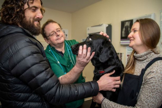 Illustration de l'article : Un chien subit une opération d'urgence à 2 reprises après avoir grignoté plusieurs fois du tuyau d'arrosage