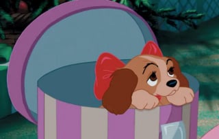 Illustration de l'article : 15 chiens célèbres de l'univers Disney. Les reconnaissez-vous ?