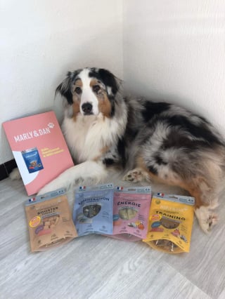 Illustration de l'article : Faire plaisir à son animal autrement : Marly & Dan lance sa nouvelle gamme de snacks naturels, savoureux et fonctionnels pour chiens et chats