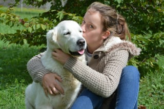 Illustration de l'article : Les chiots seraient capables d'assimiler nos baisers à des marques d'affection