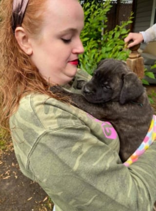 Illustration de l'article : 20 photos qui prouvent que le Mastiff est une race formidable 