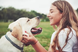 Illustration de l'article : 6 bienfaits que peut avoir un chien sur votre santé mentale