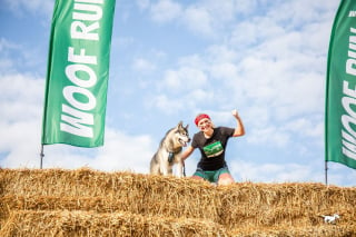 Illustration de l'article : Woof Run 2022 : une nouvelle édition pleine de surprises et de sensations pour les amoureux des sports canins